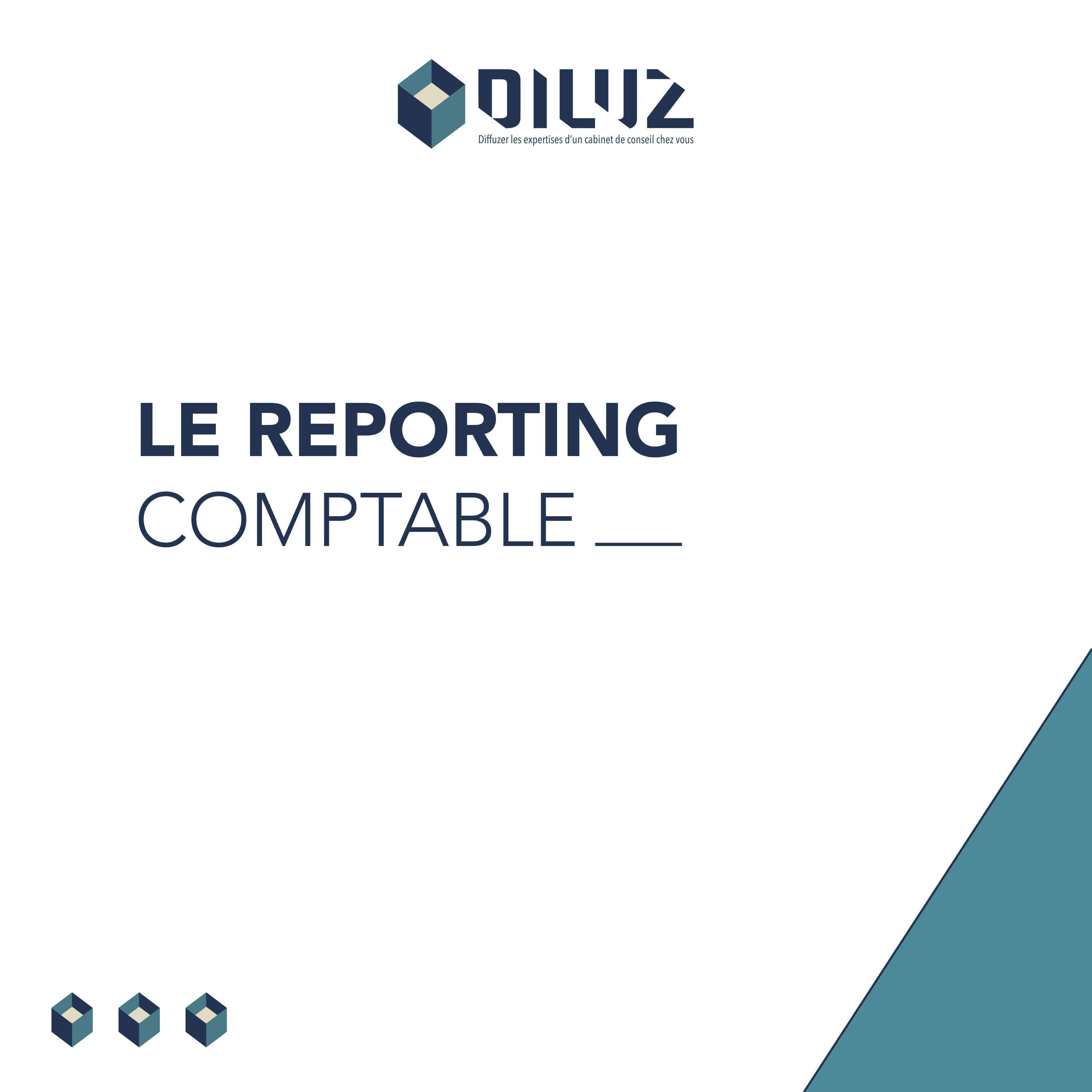 REPORTING COMPTABLE