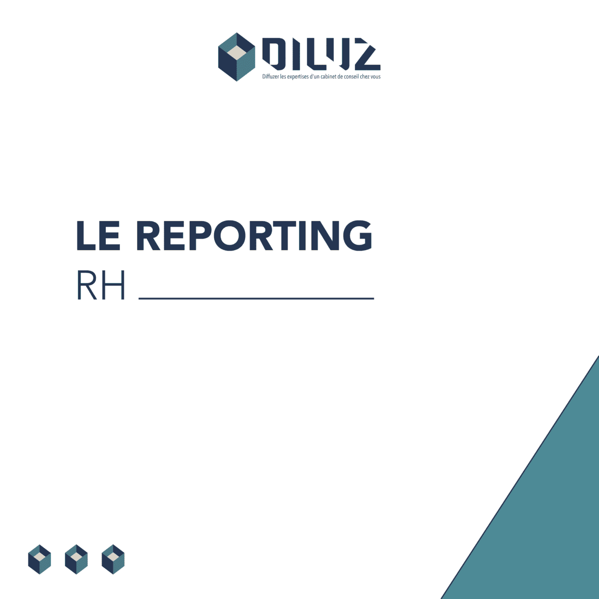 LE REPORTING RH